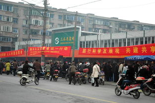 南湖青少年与嘉兴志愿者的数字家园 探索嘉兴网站建设的青春力量