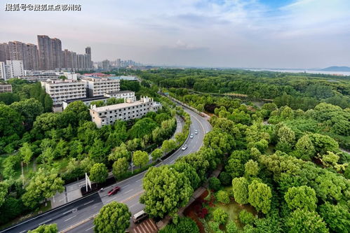 嘉兴平湖爱情花漫里官方网站 开启浪漫生活，欢迎您的到来